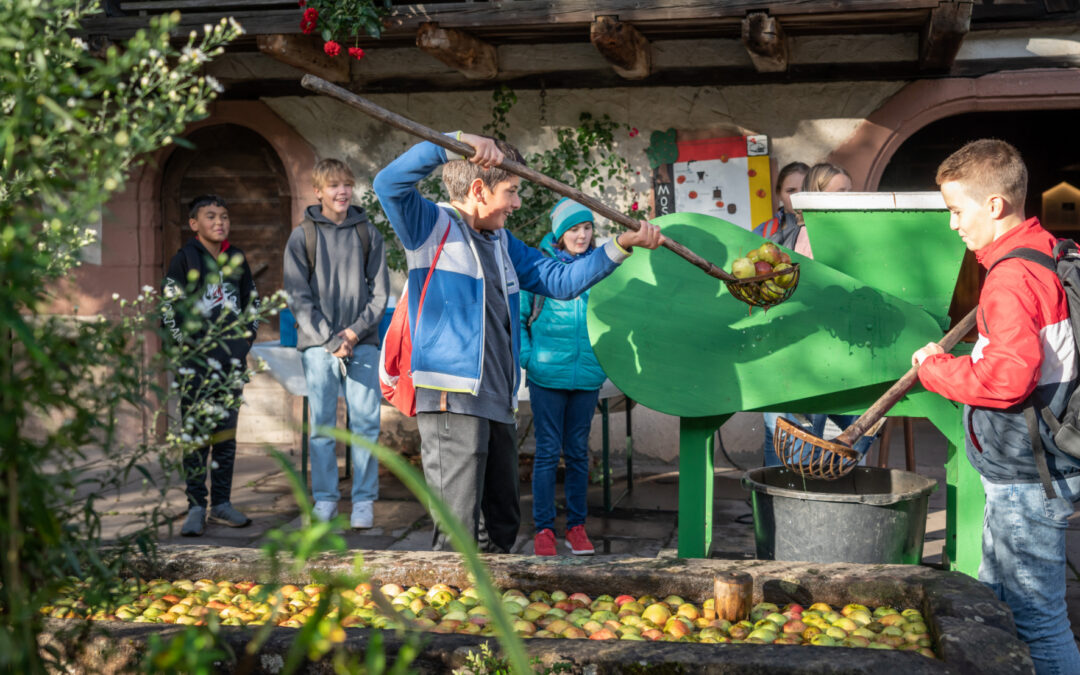 Gutach: Apfel- & Kartoffeltag im Vogtsbauernhof, 6. September