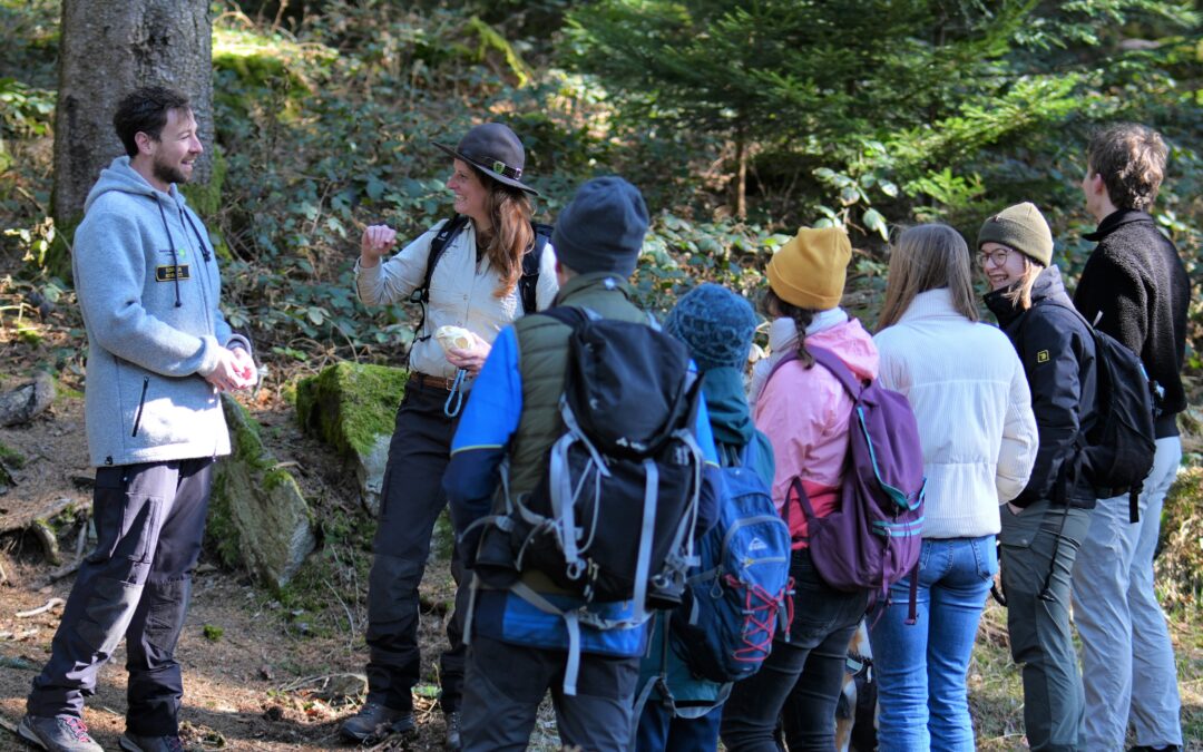 Biosphärengebiet Schwarzwald: Vier kostenlose Rangertouren im Sommer