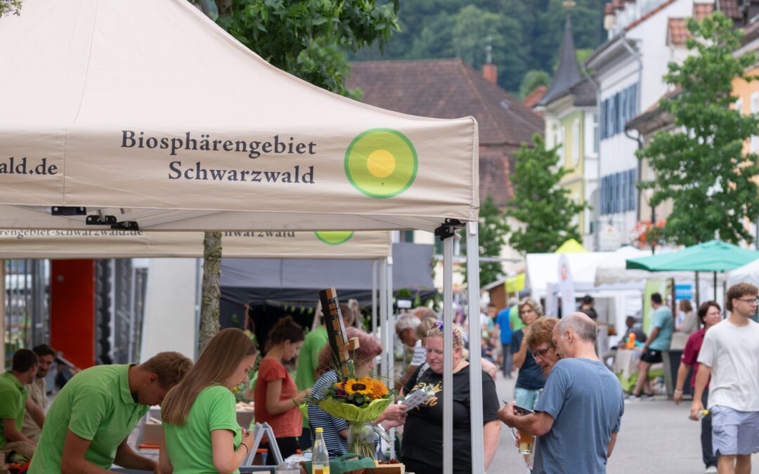 Outdoor market in a German town under a beige canopy labeled Biosphärengebiet Schwarzwald; volunteers in lime green shirts assist visitors.