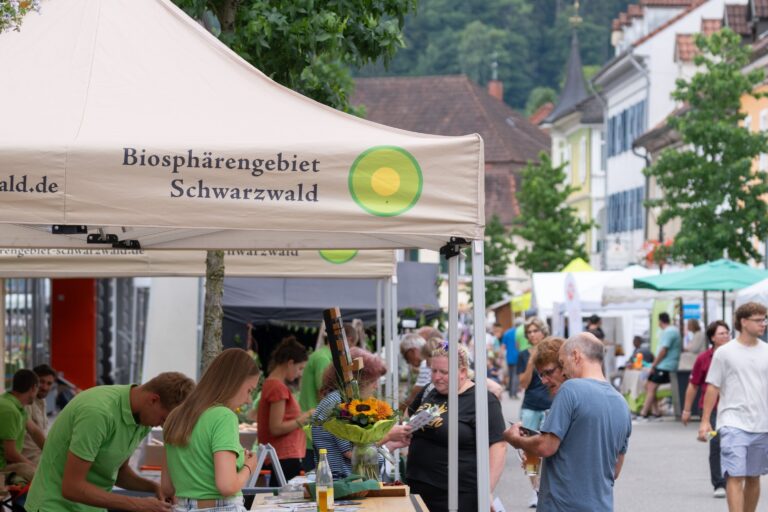 Outdoor market in a German town under a beige canopy labeled Biosphärengebiet Schwarzwald; volunteers in lime green shirts assist visitors.