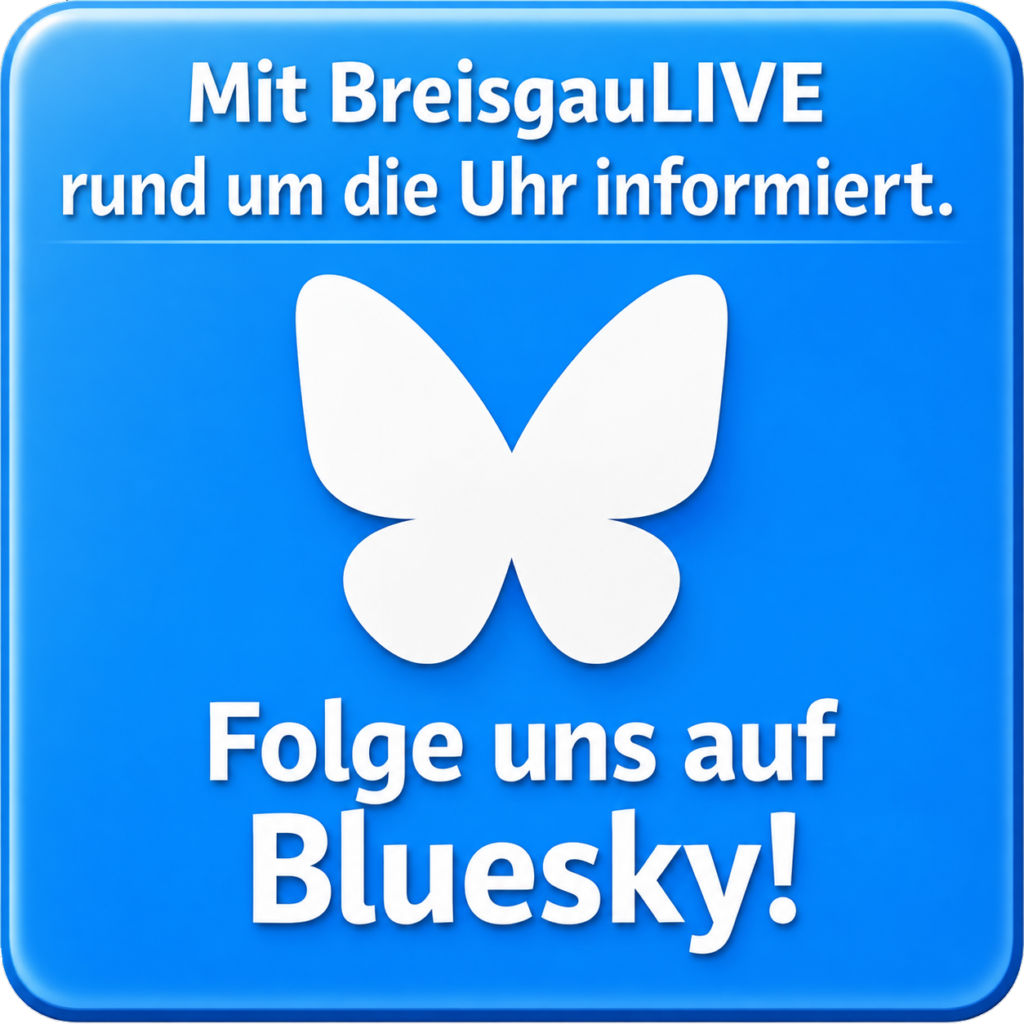Blue rounded poster with a white butterfly logo and German text inviting you to follow Bluesky: 'Folge uns auf Bluesky!'
