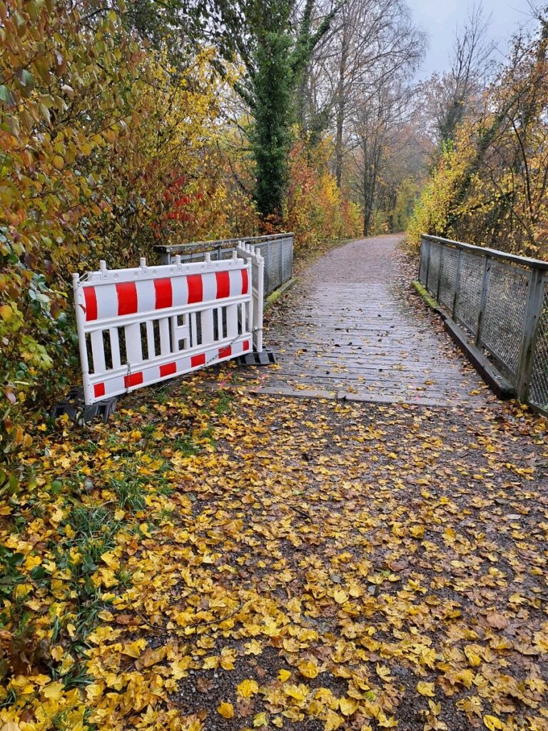 Autumn pathway lined with colorful fall foliage; a white/red barricade blocks the left side near the foreground, leaves scattered on the ground.