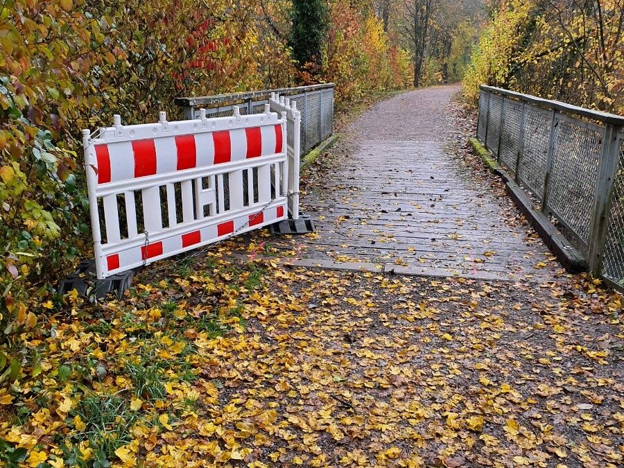 Autumn pathway lined with colorful fall foliage; a white/red barricade blocks the left side near the foreground, leaves scattered on the ground.