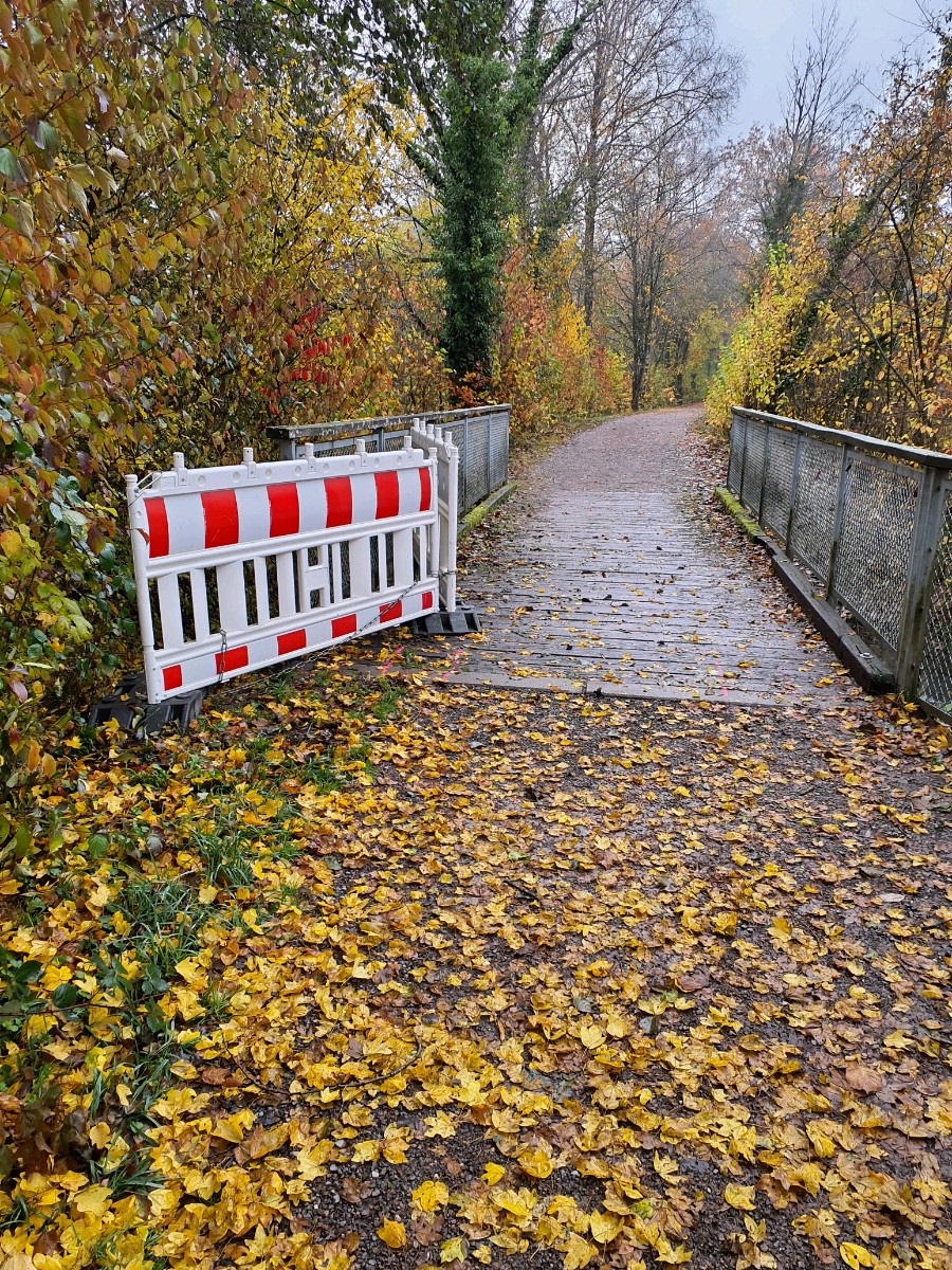 Autumn pathway lined with colorful fall foliage; a white/red barricade blocks the left side near the foreground, leaves scattered on the ground.