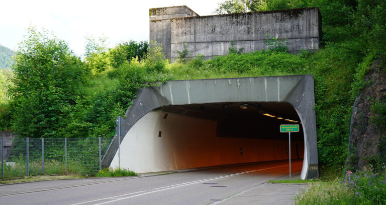 Road tunnel entrance through a grassy hillside; concrete arch with vegetation and a sign reading Hornbergtunnel 1884 m.