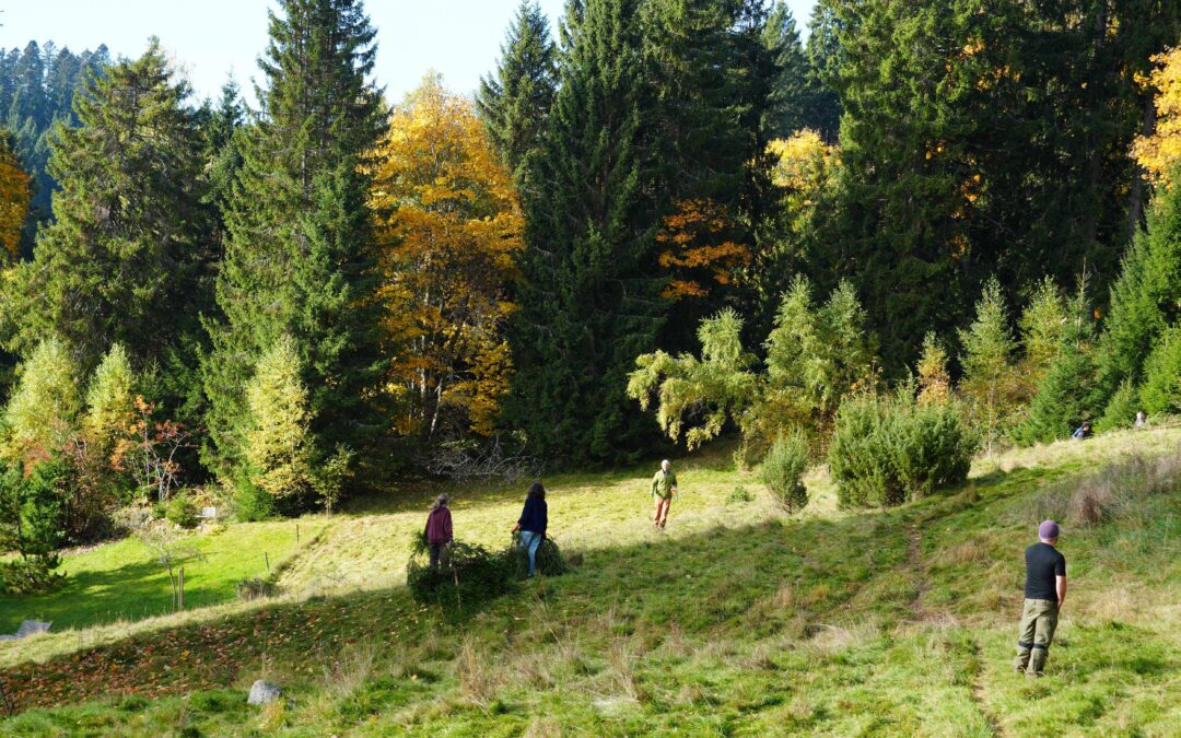 15 Gasthäuser im Schwarzwald helfen der Landschaftspflege