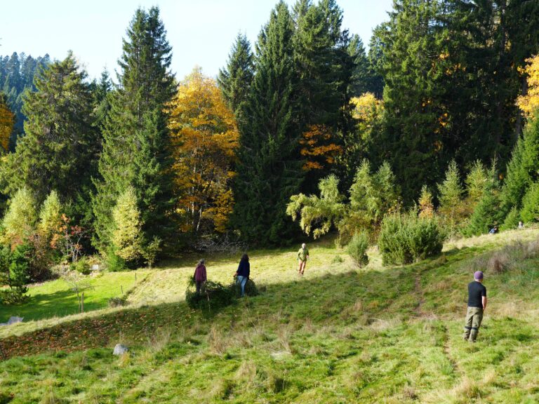 15 Gasthäuser im Schwarzwald helfen der Landschaftspflege