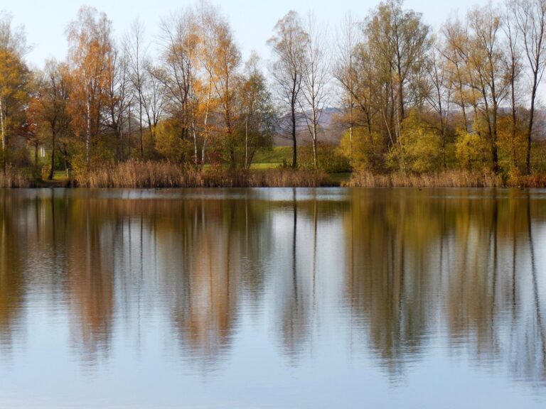 Autumn trees lining a calm lake with colorful foliage and reflected water.