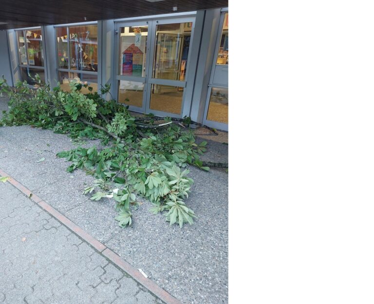 Emmendingen: Kastanienbäume an Fritz-Boehle-Schule beschädigt