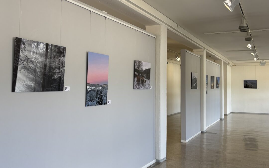 Schopfheim: Ausstellung zeigt Südschwarzwald durch Augen der Region