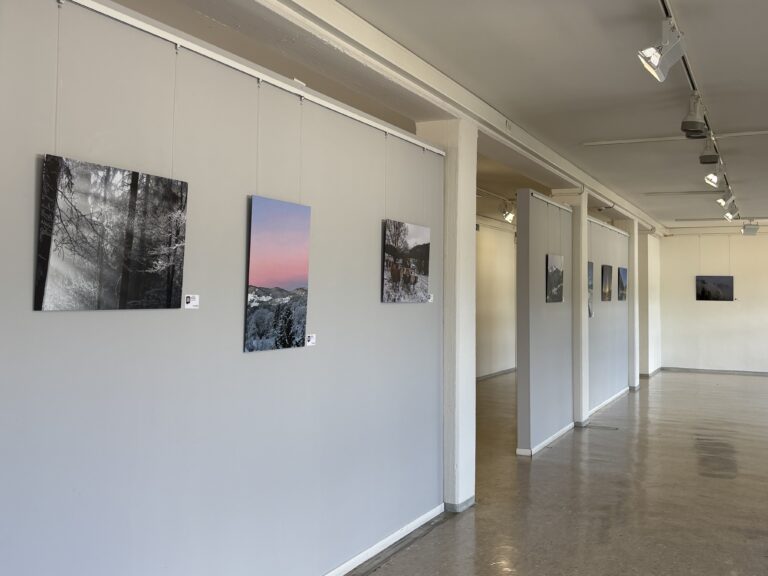 Schopfheim: Ausstellung zeigt Südschwarzwald durch Augen der Region