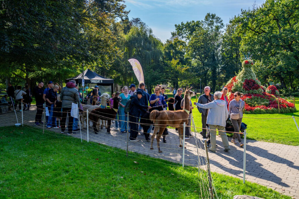 Bad Krozingen: Kostenloser Outdoor-Aktiv-Tag im Kurpark am Sonntag