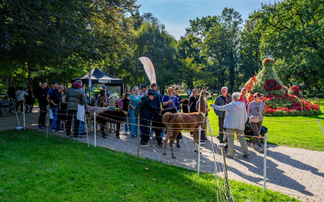 Bad Krozingen: Kostenloser Outdoor-Aktiv-Tag im Kurpark am Sonntag