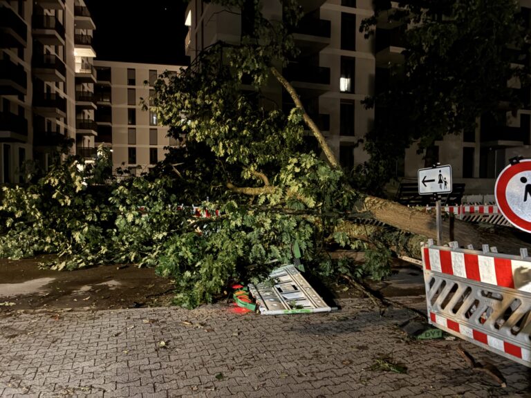 Freiburg: Drei Verletzte und rund 50 Einsätze nach Unwetter