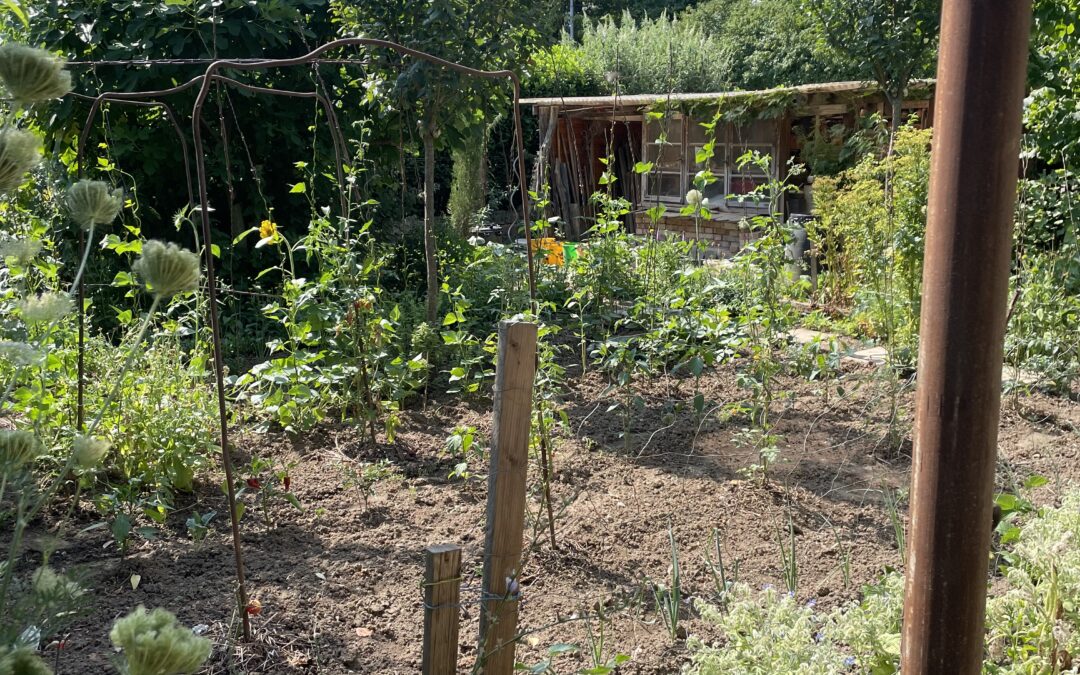 Emmendingen: Ehrung für Stadtradeln-Teilnehmer und Naturgärten