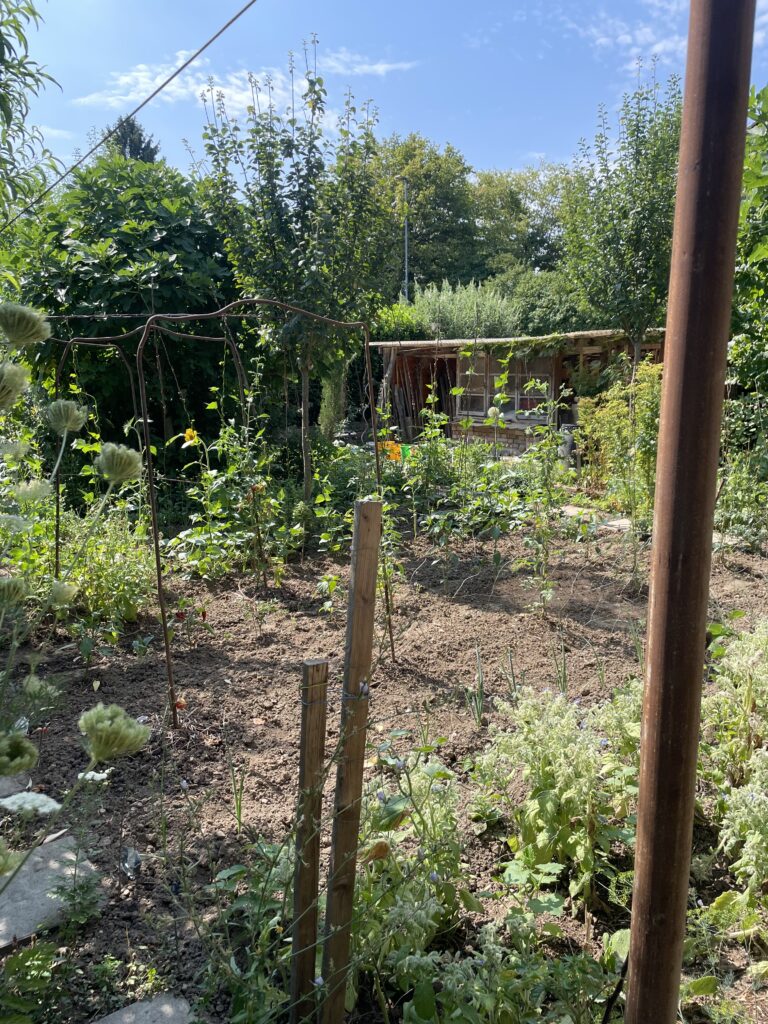 Emmendingen: Ehrung für Stadtradeln-Teilnehmer und Naturgärten