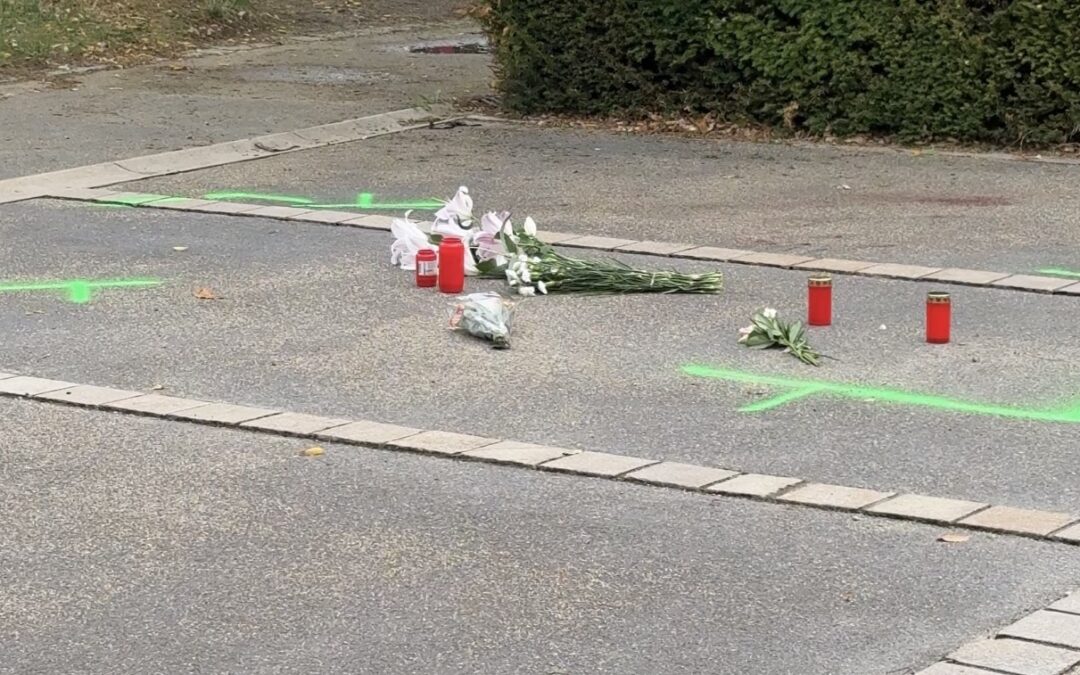 Freiburg: Haftbefehl wegen Mord im Rieselfeld und Mordversuch am Schlossbergring