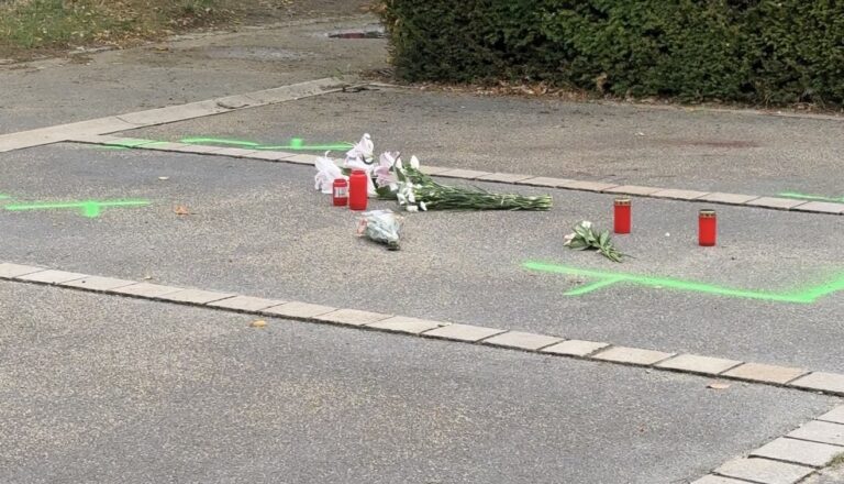 Freiburg: Haftbefehl wegen Mord im Rieselfeld und Mordversuch am Schlossbergring