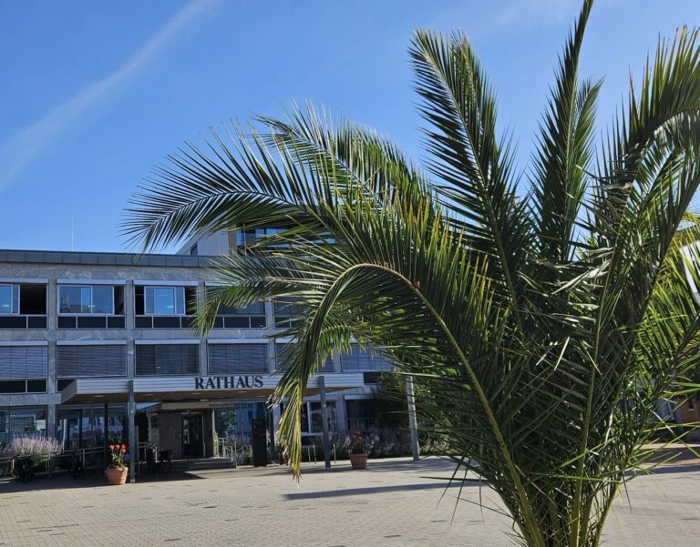 Weil am Rhein fragt Bürger zu Hitze und Starkregen