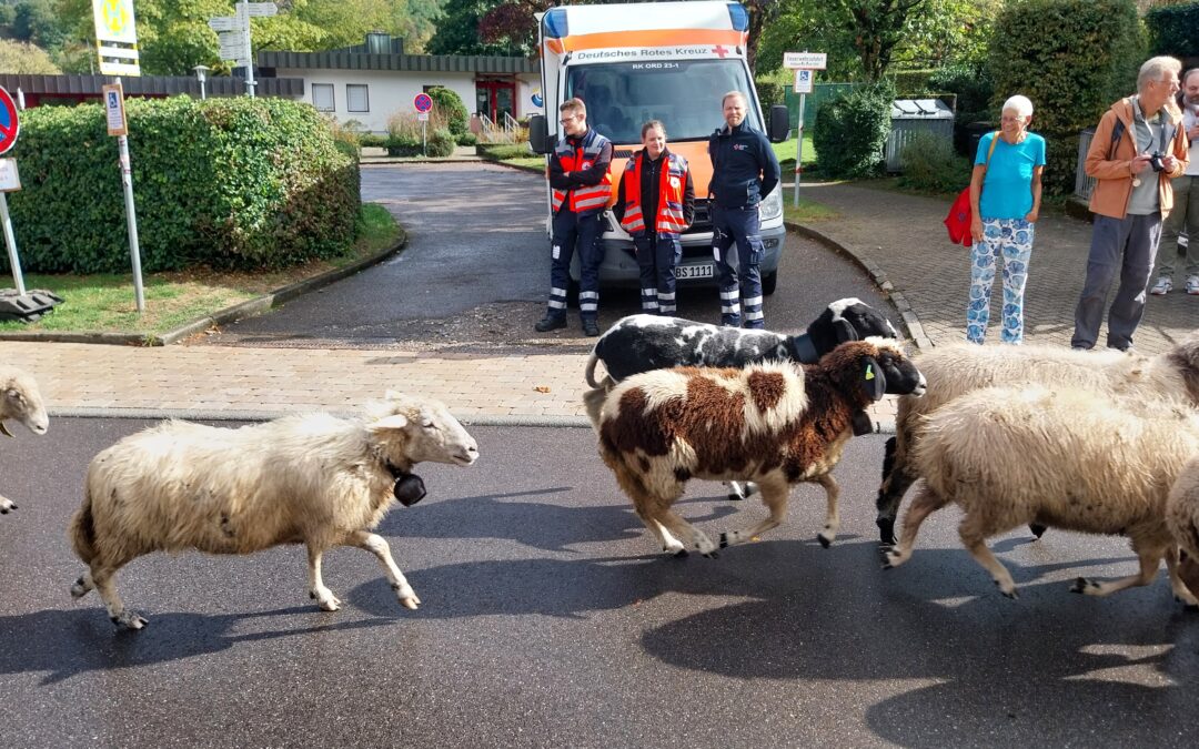 DRK wieder bei zahlreichen Veranstaltungen rund um Freiburg im Einsatz