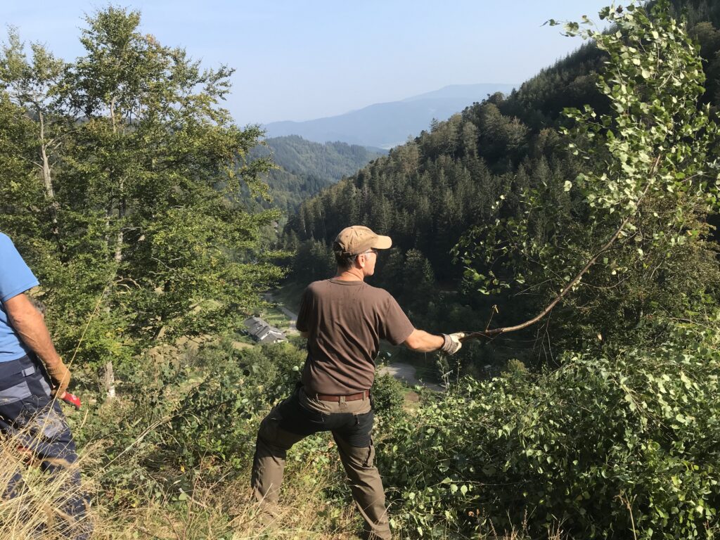 Freiburg-Kappel: Helfer für Landschaftspflege am Samstag gesucht