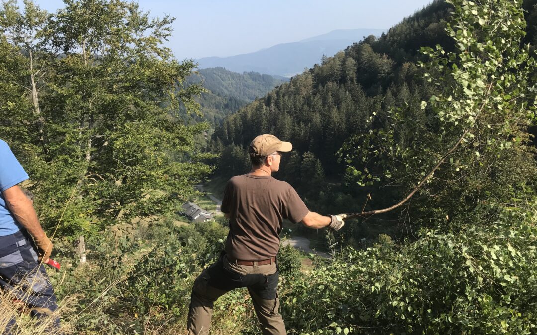 Freiburg-Kappel: Landschaftspflegetag am Samstag abgesagt