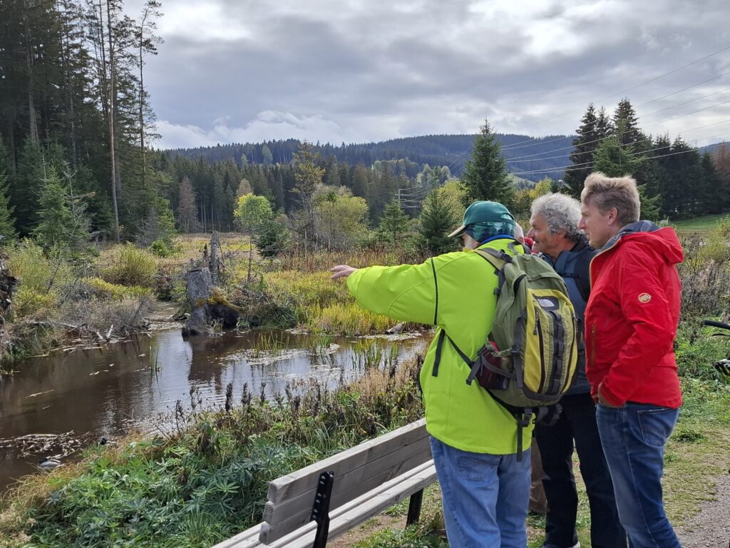 Feldberg: Neuen Biberweg bei Falkau und Altglashütten eröffnet