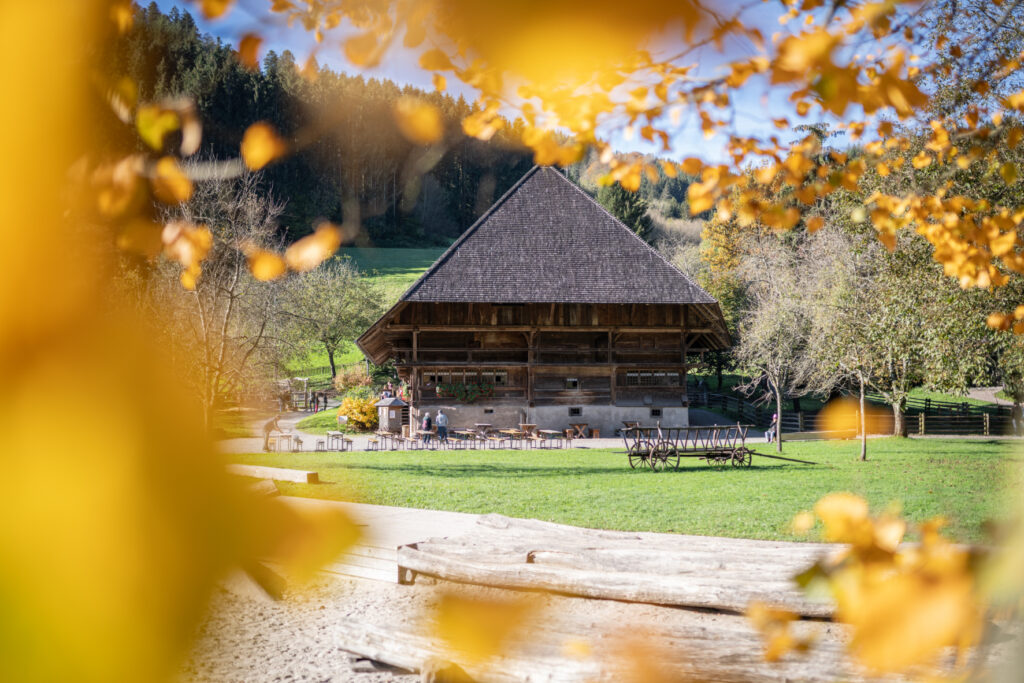 Gutach: Herbstfest im Vogtsbauernhof mit Schlachtfest