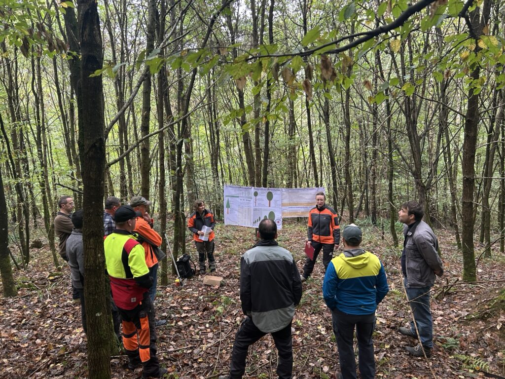 Denzlingen: 40 Waldbesitzer lernen Waldpflege