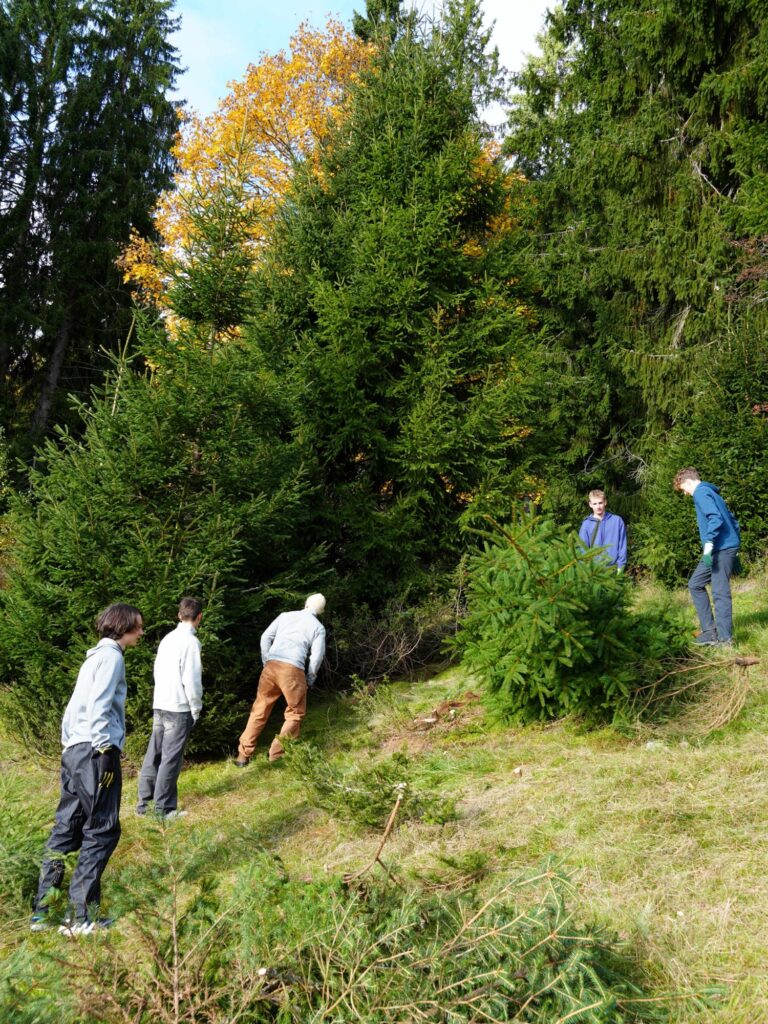 Biosphärengebiet Schwarzwald: Förderanträge noch bis 15. November möglich