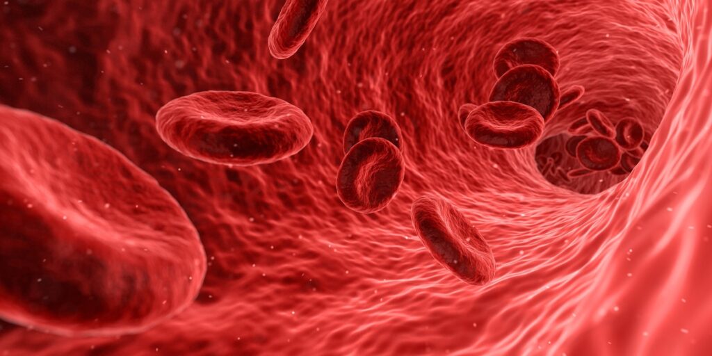 Freiburg: Neuer Therapieansatz gegen aggressiven Blutkrebs